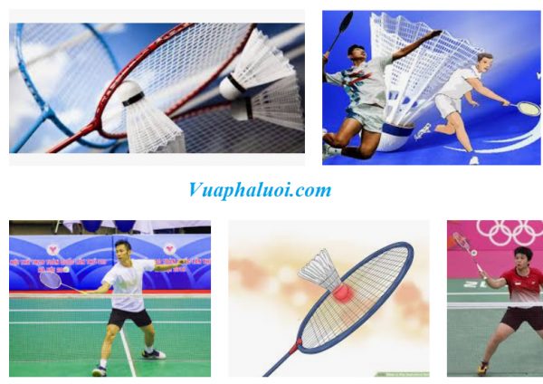 Cách chơi tốt môn cầu lông