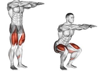 Bài tập Bodyweight squat