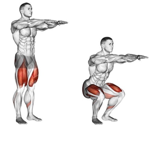 Bài tập Bodyweight squat