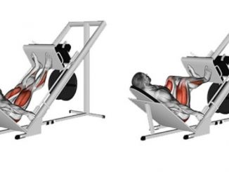 Bài tập leg press