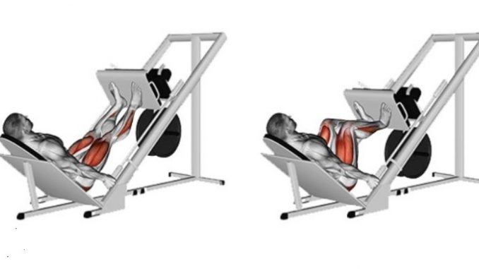 Bài tập leg press Bài tập leg press