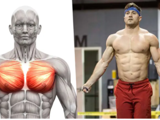 Các bài tập tại nhà cho nhóm cơ ngực lớn (Pectoralis major)