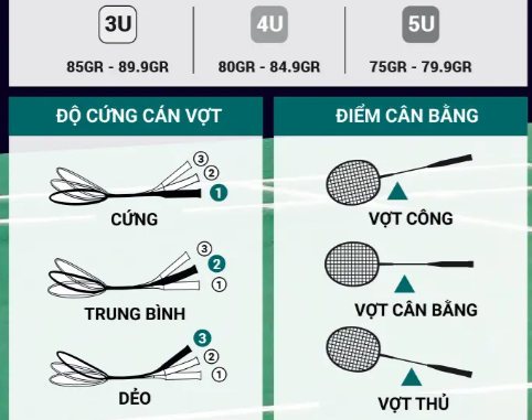 Top 6 thương hiệu vợt cầu lông tốt Top 6 thương hiệu vợt cầu lông tốt