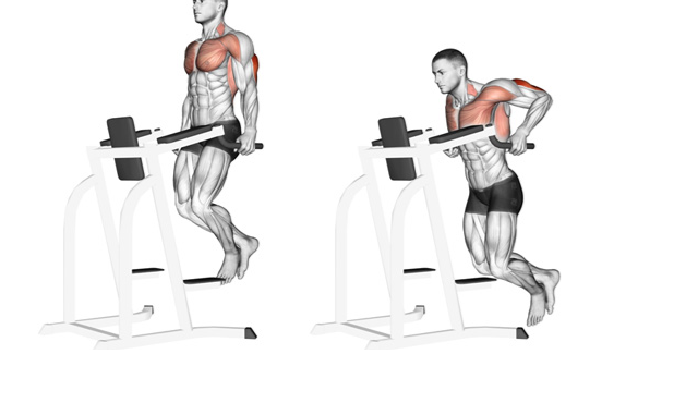 Bài tập Straight Bar Dips Bài tập Straight Bar Dips